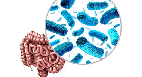 Current Evidence Based Strategies For Modulating The Gut Microbiota