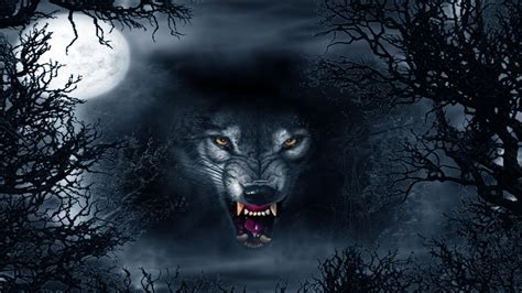 Evil Wolf Abstract Ultra Hd 4k Wallpapers Wolf Photos Shadow Wolf