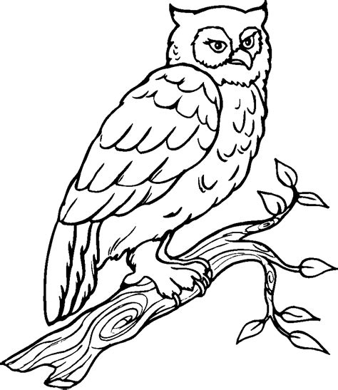 Oiseaux 4  Coloriage d'Oiseaux  Coloriages pour enfants