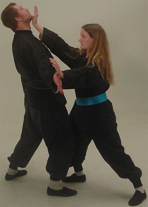 taoist martial self defence arts feng shou