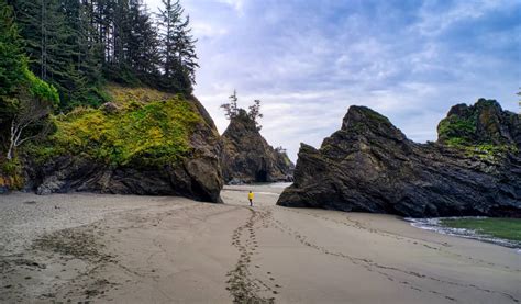 The 13 Best Things To See And Do On The Oregon Coast In 2023
