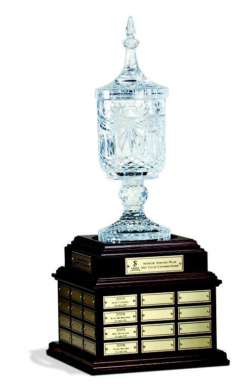 22 Best Perpetual Trophy Ideas Perpetual Trophy Trophy Trophies