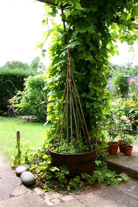 24 easy diy garden trellis projects you can do this weekend. 25 DIY Pea Trellis Ideas For Your Garden | Gardenoid