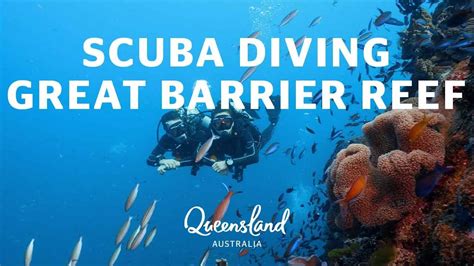 Best Scuba Diving On The Great Barrier Reef Youtube