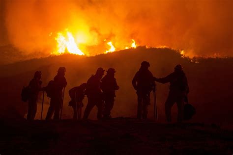 Bagaimana Cara Mencegah Kebakaran Hutan Dan Lahan