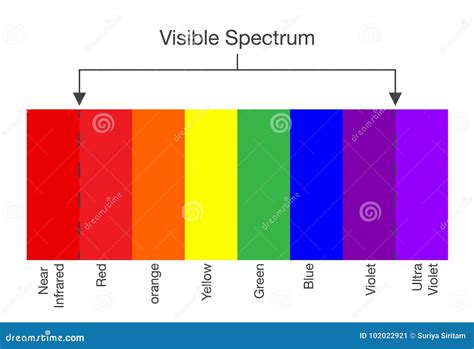 Chart Of Visible Spectrum Color Stock Vector Illustration Of Light