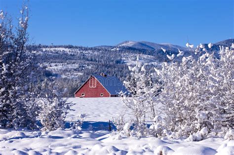 131 Bright Red Barn Winter Landscape Photos Free And Royalty Free Stock