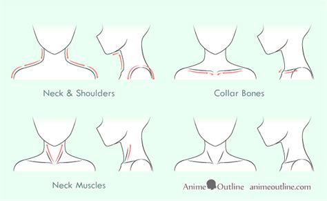 How To Draw Anime Neck And Shoulders Manga Drawing