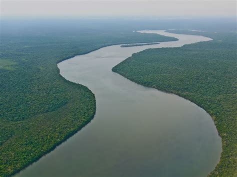 The Amazon River The Amazing Amazon By Oli Crane
