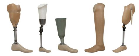 Different Types Of Prosthetic Legs Design Talk