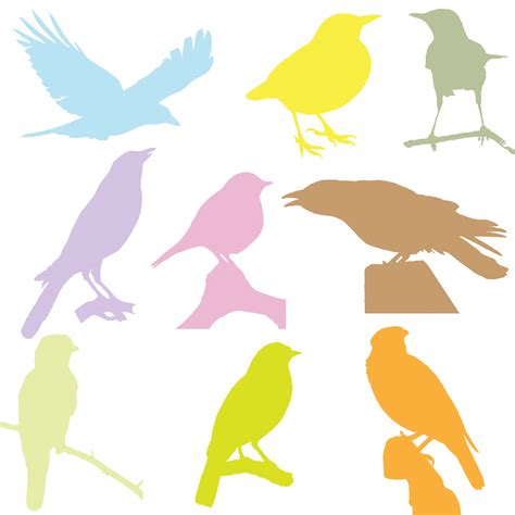 Birds Colorful Silhouettes Free Stock Photo Public Domain Pictures