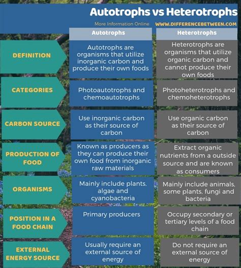 Though these terms seem complex, they are simply scientific names for what are commonly known as plants and animals or heterotrophs are organisms that require complex organic compounds of carbon and nitrogen from other plants or animals to obtain nutrition. Difference Between Autotrophs and Heterptrophs | Compare ...