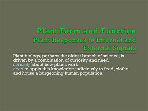 Ppt Plant Form And Function Plant Responses To Internal And External