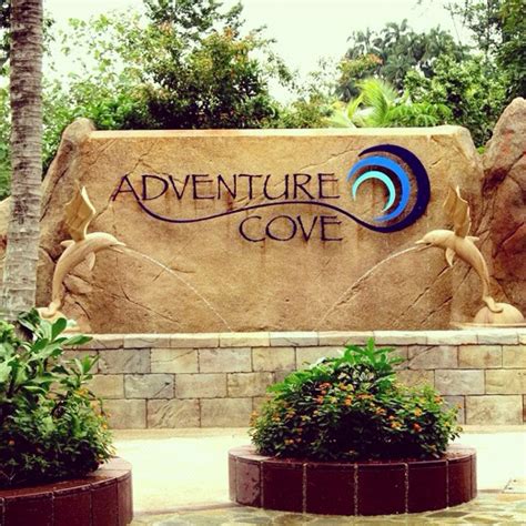 Adventure cove waterpark is the ultimate combination of an adventure filled waterpark and encounters with marine life. Rip-roarin' good time - Mother, Inc