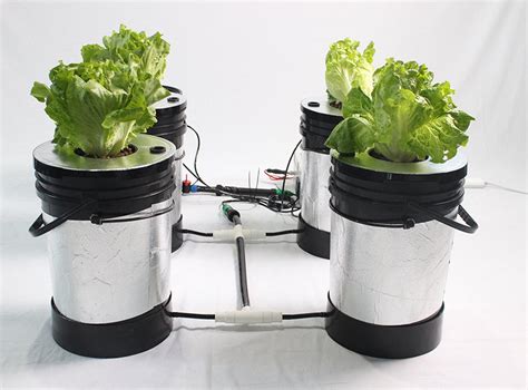 Best Eco Farm Aeroponics Hydroponics System With 5 Round Bucket