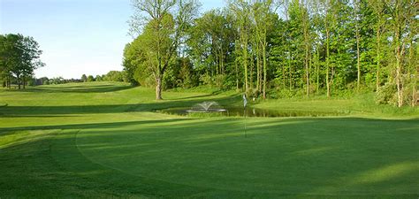 Track reviews and social mentions—all in one place. Michigan golf course review of TIMBER TRACE - Pictorial ...