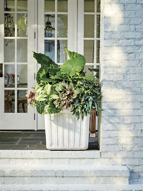 30 Containers For Covered Porches That Will Thrive In The Shade Porch