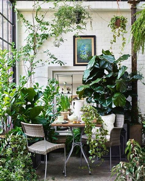 30 Indoor Decorative Plants For Your Home