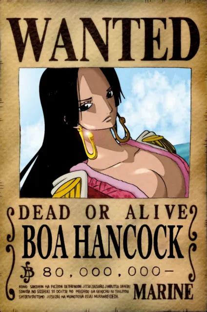 One Piece Wanted Poster A3 28 X 43 Cm Boa Hancock 1st Bounty Eur 499 Picclick Fr