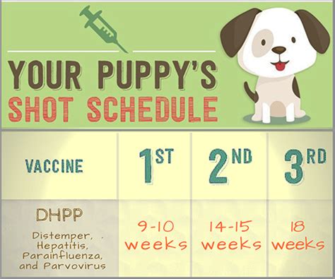 Dogs are commonly vaccinated against some or all of certain diseases. Low Cost Vaccinations in the SF Bay Area | BADRAP