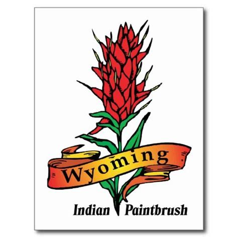 Wyoming Wy Vintage State Flower Indian Paintbrush Postcard