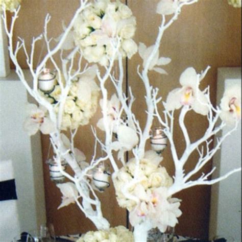 Spray Paint Manzanita Branches White And Hot Glue Flowers To The