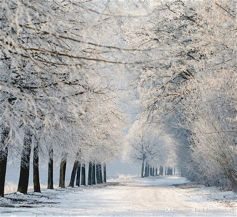 2020 Country Road Winter Fabric Backgrounds Photography Beautiful White