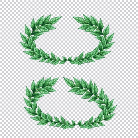 Green Laurel Wreaths Transparent Set Vector Illustration 2938720 Vector
