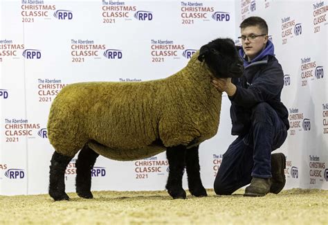 Suffolk champion comes out top at the Christmas Classic