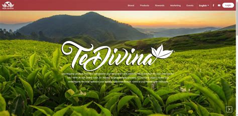 Vida Divina Mlm Review Can You Cash In On Tea And Coffee