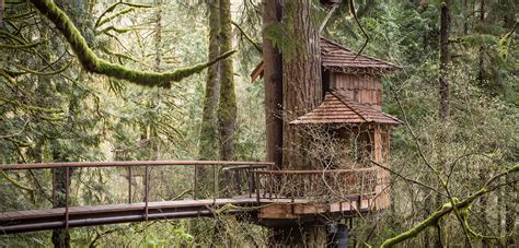 TreeHouse Point