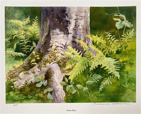Forest Ferns Ap Watercolor Print Geraldine Mckeown The Palette