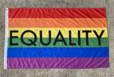 Gay Pride Rainbow Equality Flag Lgbtq 36x60 Human Asexual Pansexual