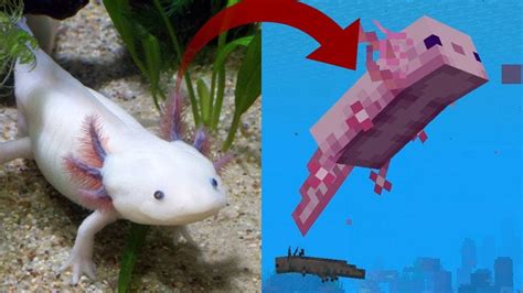 Axolotl In Minecraft Vs Real Life Shorts Youtube