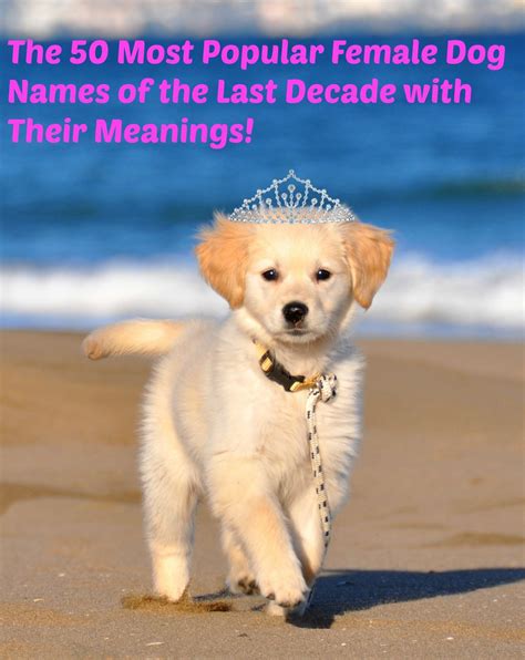 This is a list of notable native american women of the united states. The 50 Most Popular Names for Female Dogs of the Decade ...