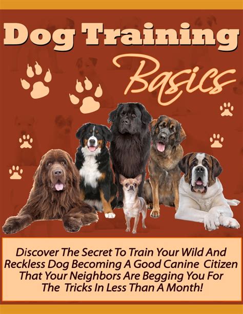 Dog Training Basics Ebook Online Store