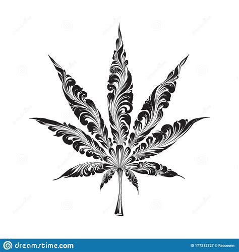 Cannabis Leaf Abstract Illustration Isolated On White Hand Drawn