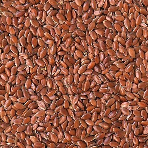 Generic Flax Seed