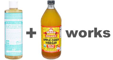 Itch is a pesky side effect of an activated immune system. Homemade Dog Shampoo for Itchy, Allergic Skin | Homemade ...