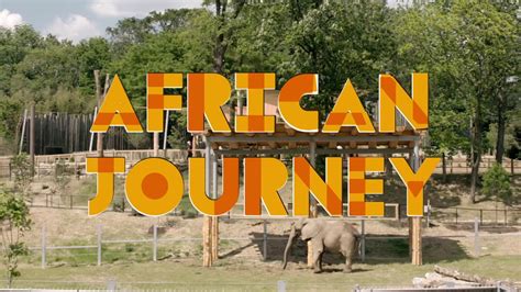 The Journey Begins Experience The New African Journey Youtube