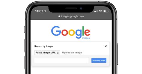 Search by image solutions for you. Reverse Image Search On iPhone