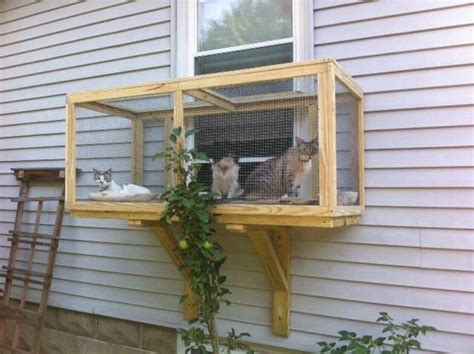 All you have to do is remove the hinges, flip the door upside down so the other side is facing you, put the hinges on backwards from where they used to be, and reinstall. Cats, Basement windows and Ideas on Pinterest