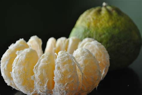 Have the participants break into groups of two. Ugli Fruit (Tangelo) | Fruit Maven