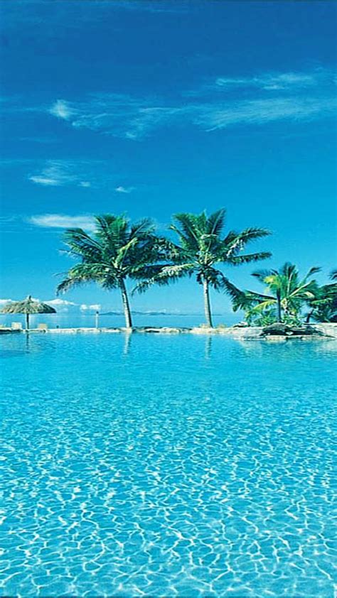 The summer is starting and as you know, the summer season is not a good period of time to play lineage 2 one of the highlights of the summer season on scryde will traditionally be the seahorse. Clean water, palms and sun - Summer season Wallpaper ...