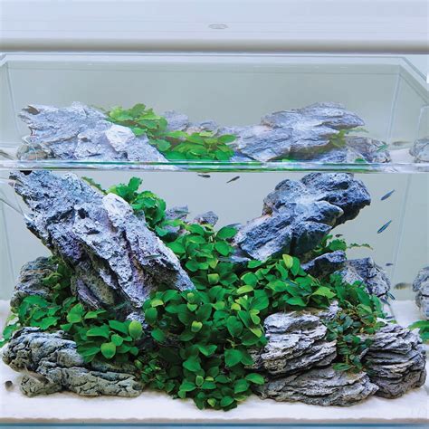 Seiryu Stones 7 Pieces Molded Aquarium Aquascape Décor Etsy