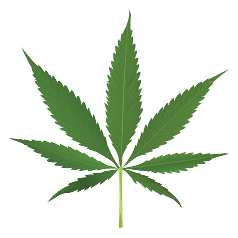 Marijuana Leaf Png Transparent Gif - merablackmagic png image
