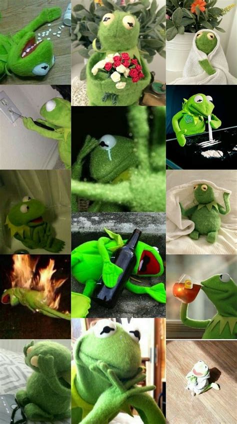 Kermit The Frog Phone Wallpapers Top Free Kermit The Frog Phone Backgrounds Wallpaperaccess