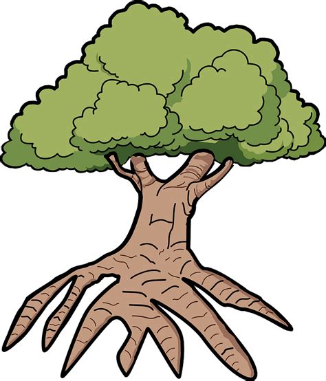 Tree With Long Roots Clipart Free Download Transparent Png Creazilla
