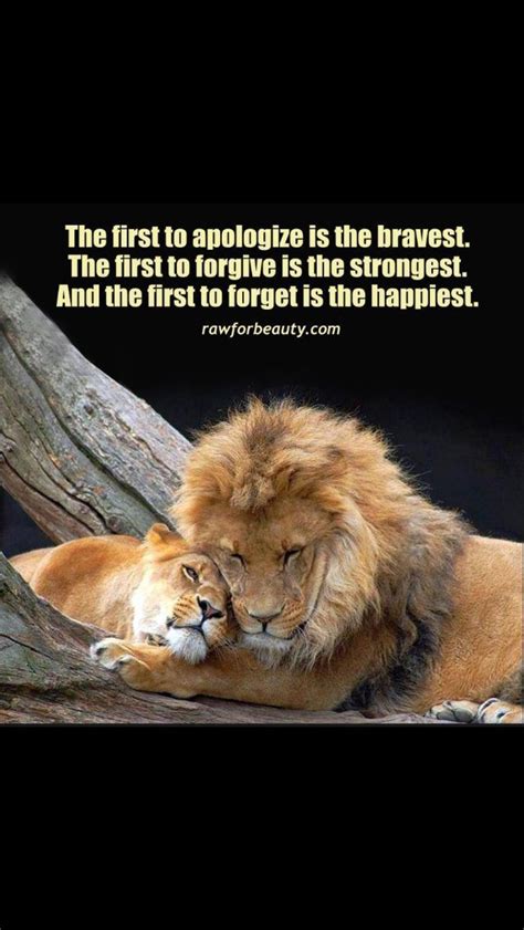 Love This And The Lions Lion Quotes Lion Love Cute Animals