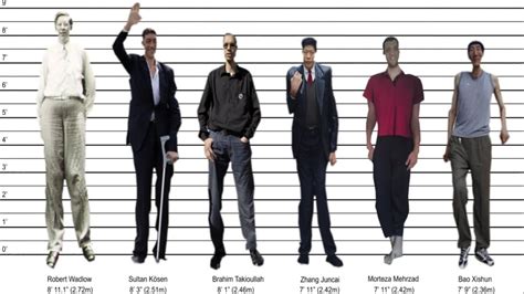 Pictures Of The Tallest Man In The World Tales Of The Tallest Men In